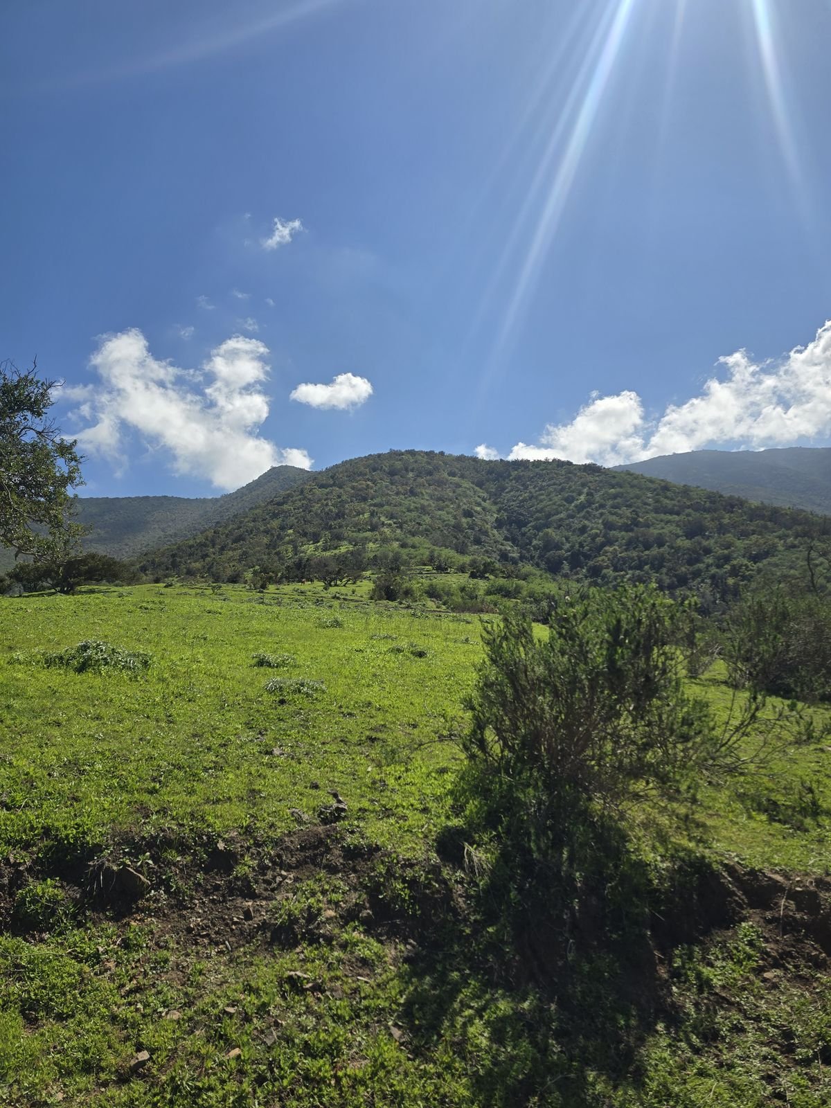 Fotografía 7 del terreno, Parcela 24 — Aires de Longotoma