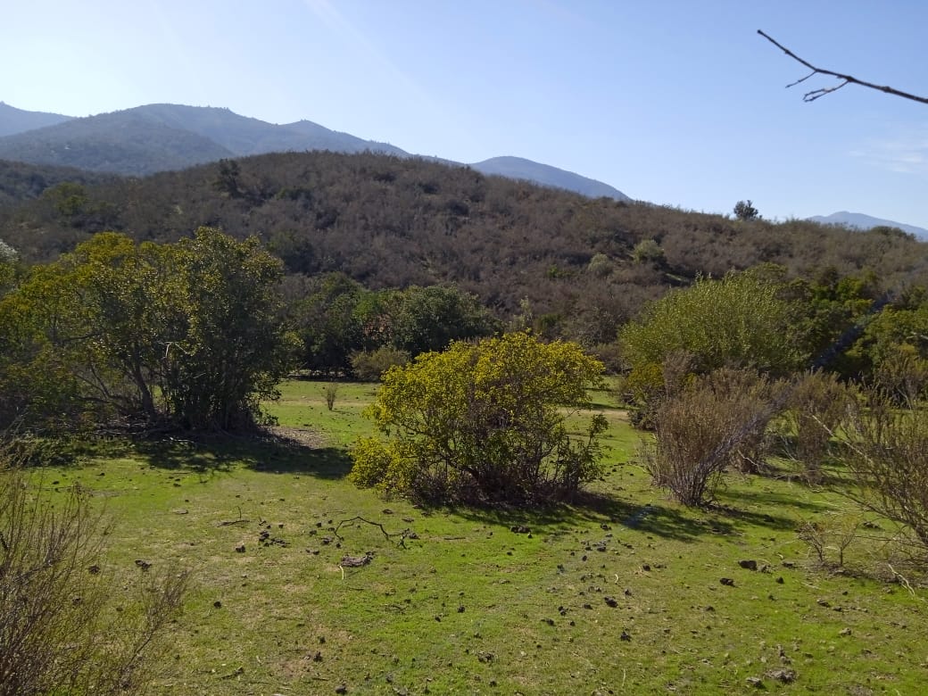 Parcelas en Longotoma, Petorca