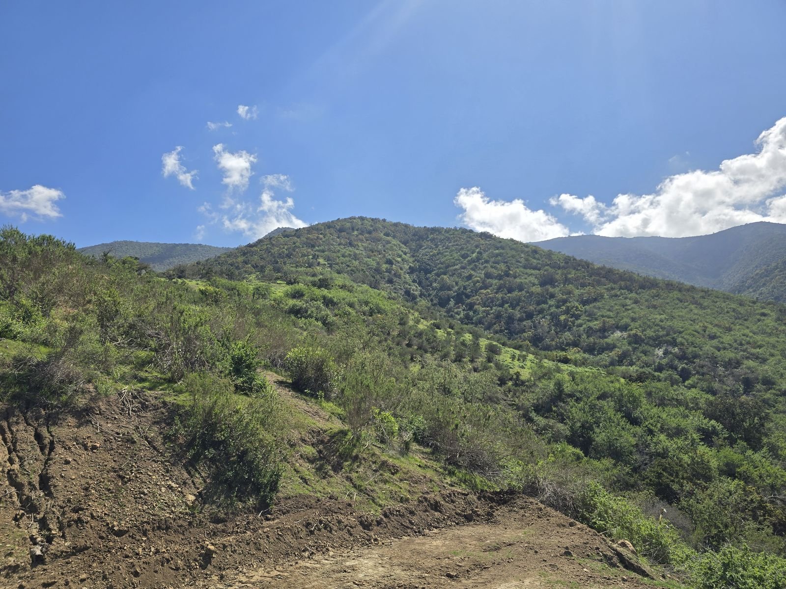 Fotografía 28 del terreno, Parcela 24 — Aires de Longotoma