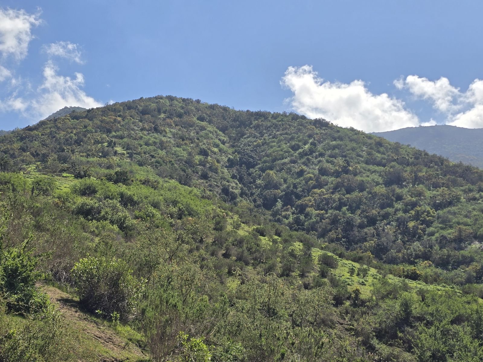 Fotografía 30 del terreno, Parcela 24 — Aires de Longotoma