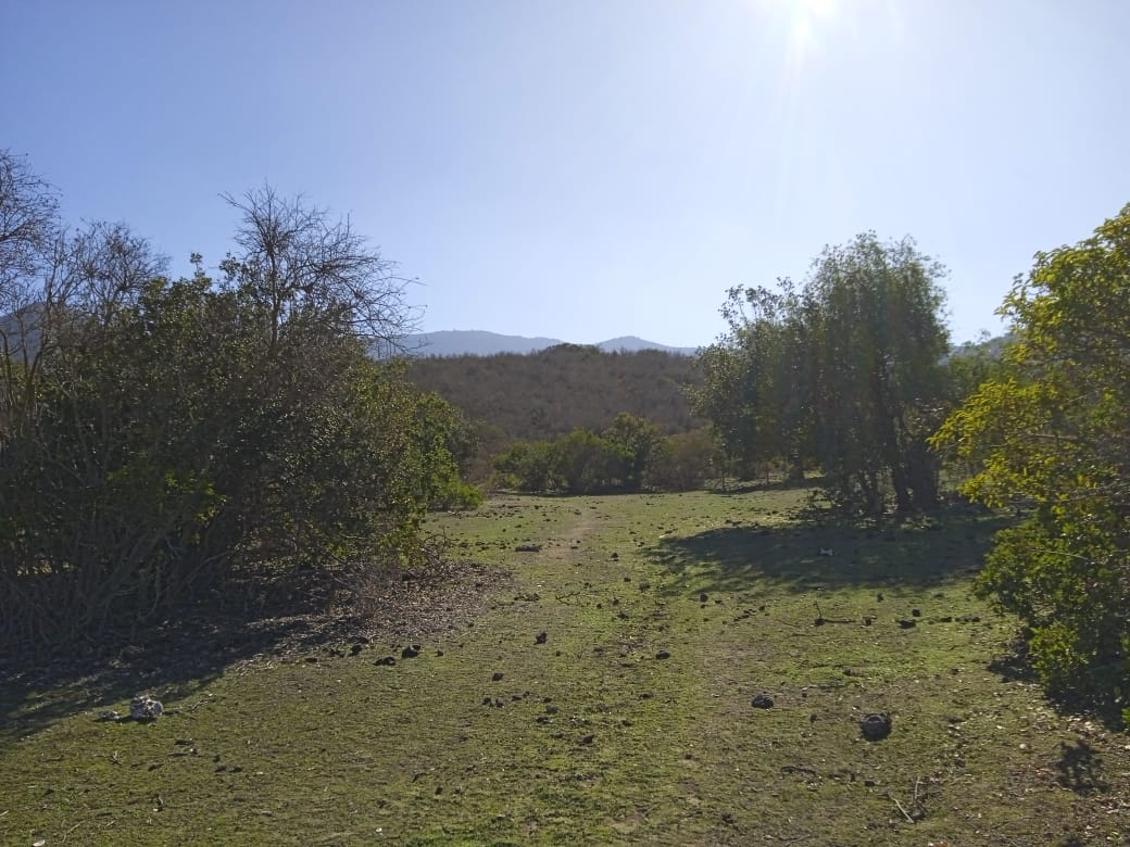 Terrenos con vista al valle en el proyecto Aires de Longotoma