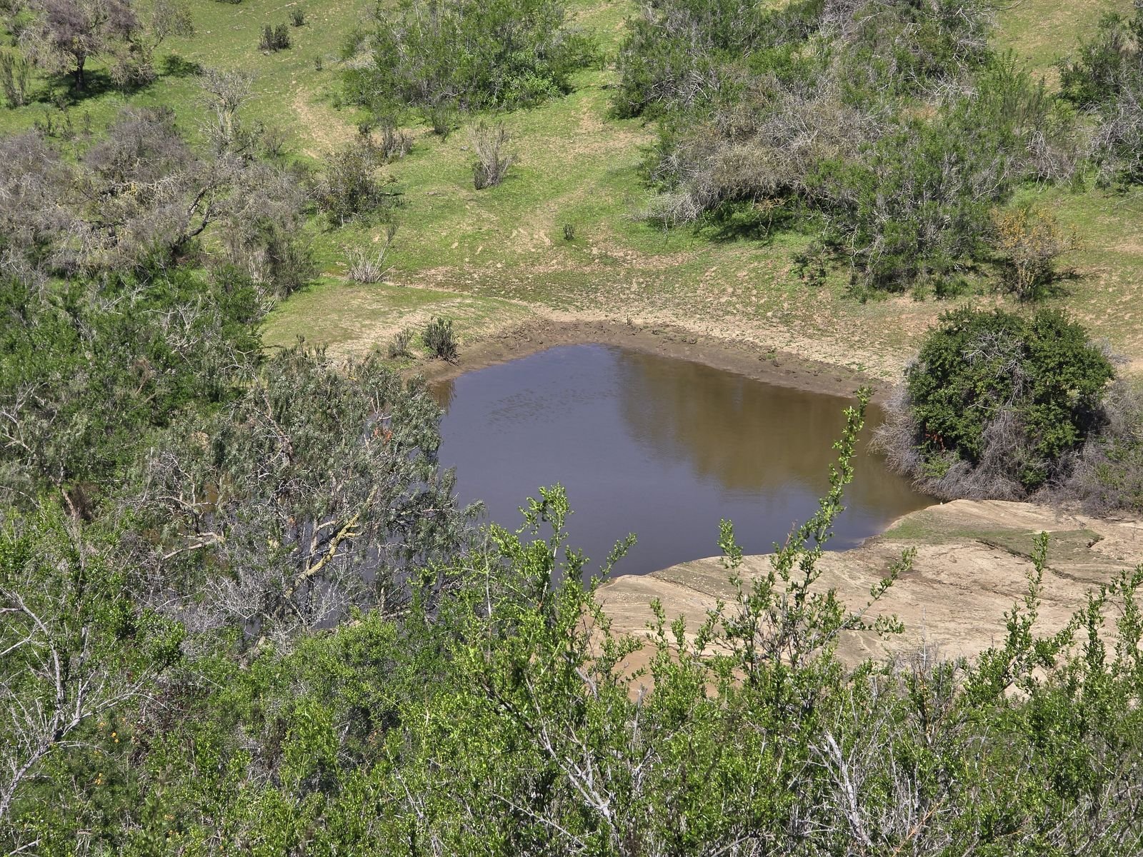 Fotografía 42 del terreno, Parcela 24 — Aires de Longotoma